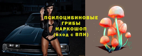 гидропоника Абдулино