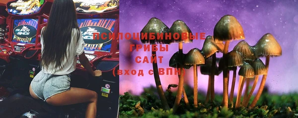 гидропоника Абдулино